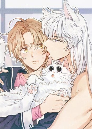 c3850cd11e248dd641d90e24d8111c16